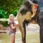 Spa à la boue d'éléphant