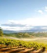SOUMAH of Yarra Valley