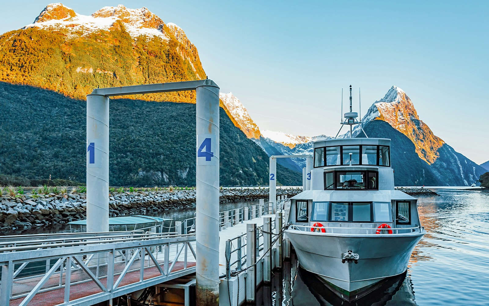 Croisière Milford Sound