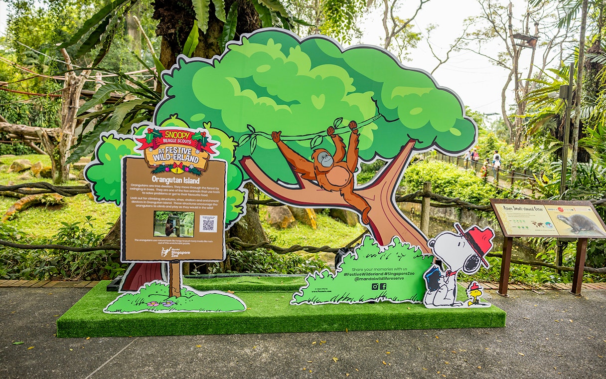 Orangutan Island display with Snoopy and Beagle Scouts at Singapore Zoo.
