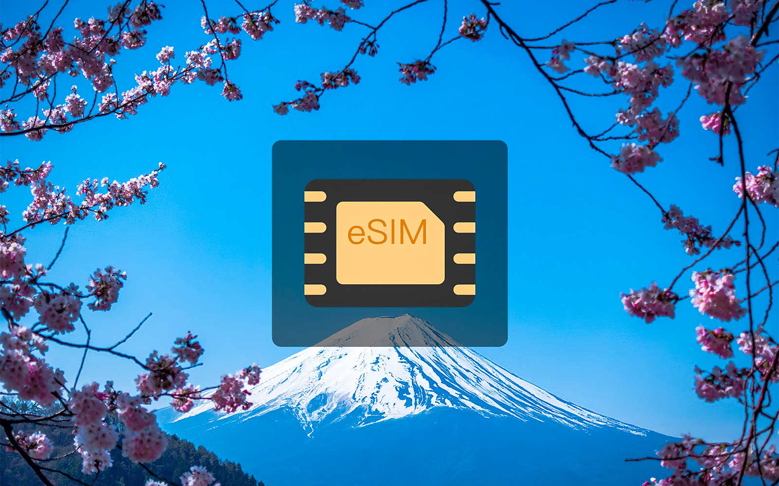 Japan Tourist Sim Card | Headout