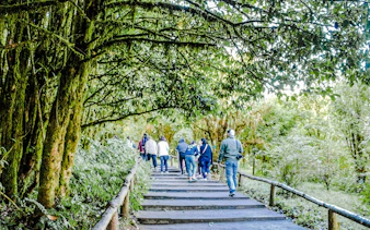 fra chiang mai: tur til doi inthanon nasjonalpark med de to pagodene og wachirathan-fossen-7