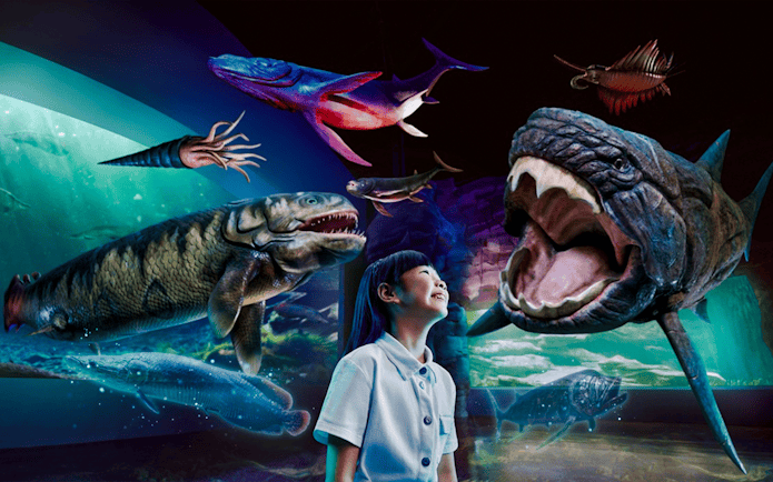 Visitors observing prehistoric sea creatures at Singapore Oceanarium.