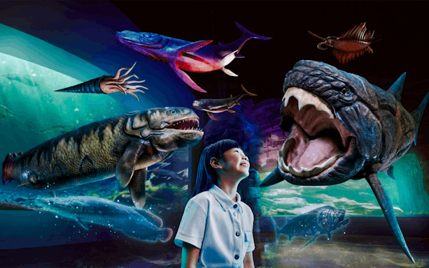 Visitors observing prehistoric sea creatures at Singapore Oceanarium.