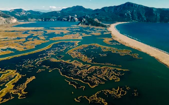 from marmaris: dalyan river and turtle beach day trip with mud bath and lunch-10