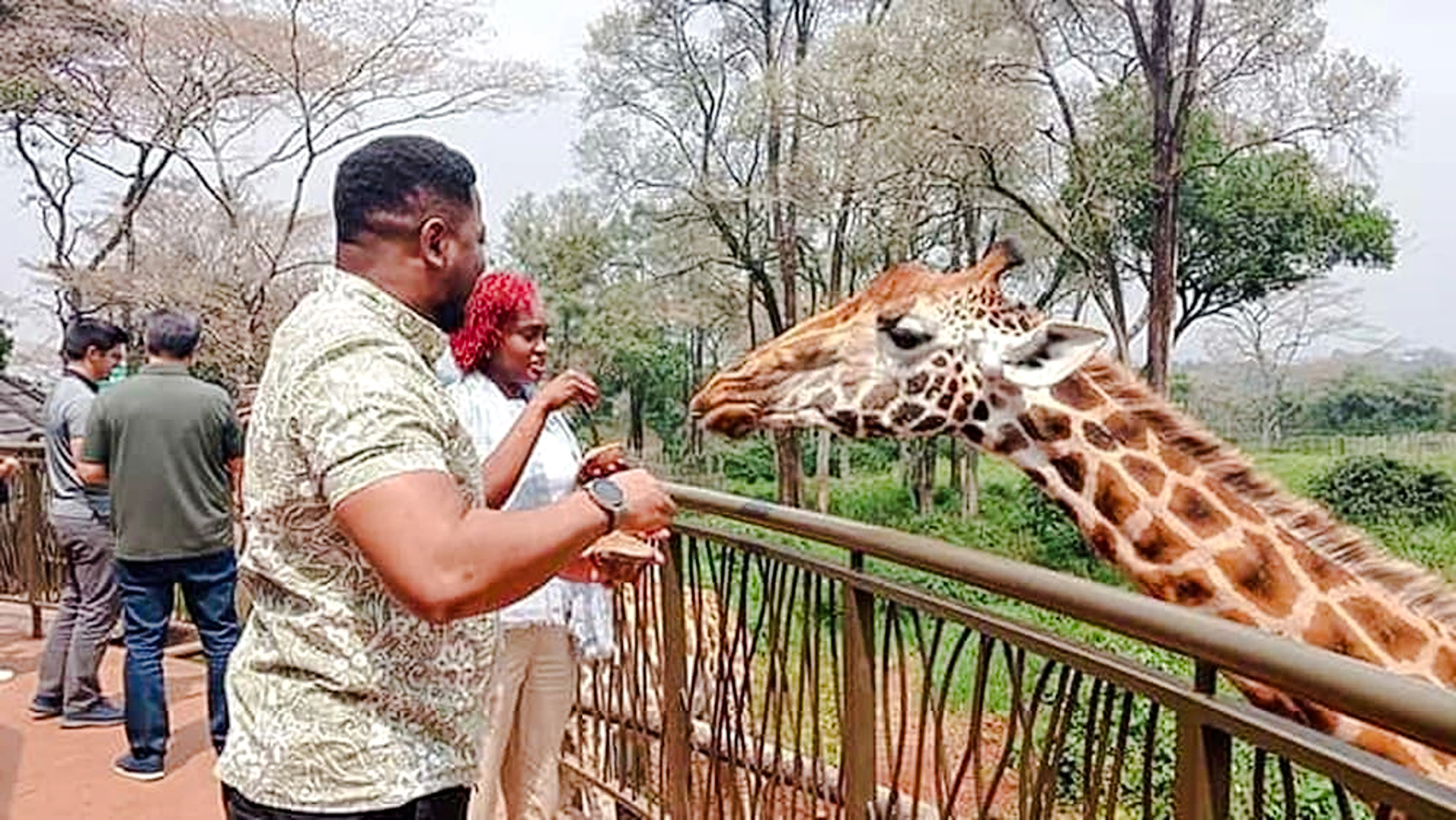 Visitors feeding a giraffe at Giraffe Centre, Nairobi.