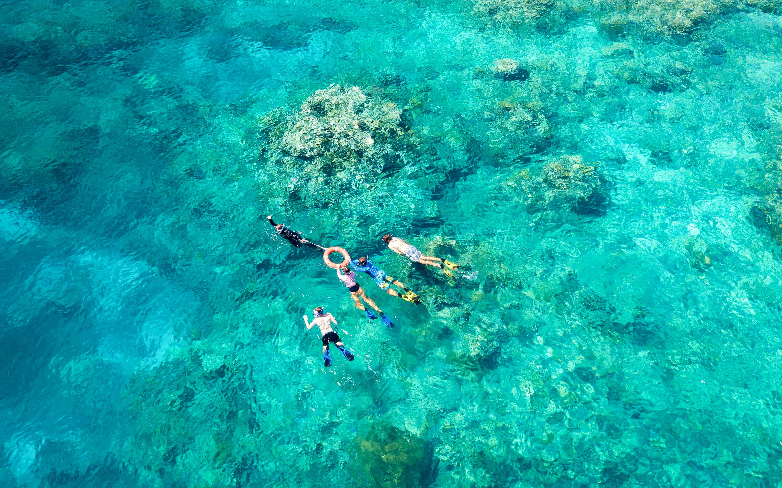 Group snorkeling over coral reef in clear blue water.