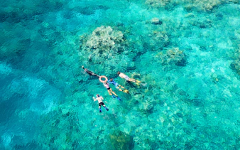 Group snorkeling over coral reef in clear blue water.