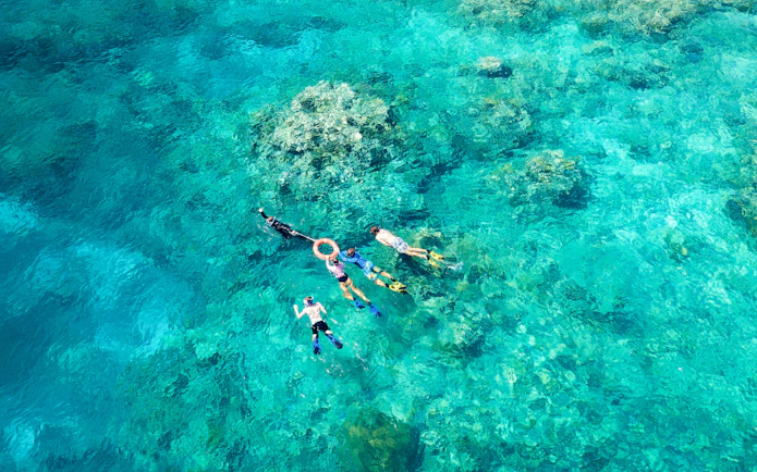 Group snorkeling over coral reef in clear blue water.