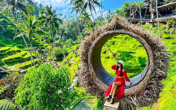 Woman sitting on a large nest swing overlooking Bali's lush rice terraces.