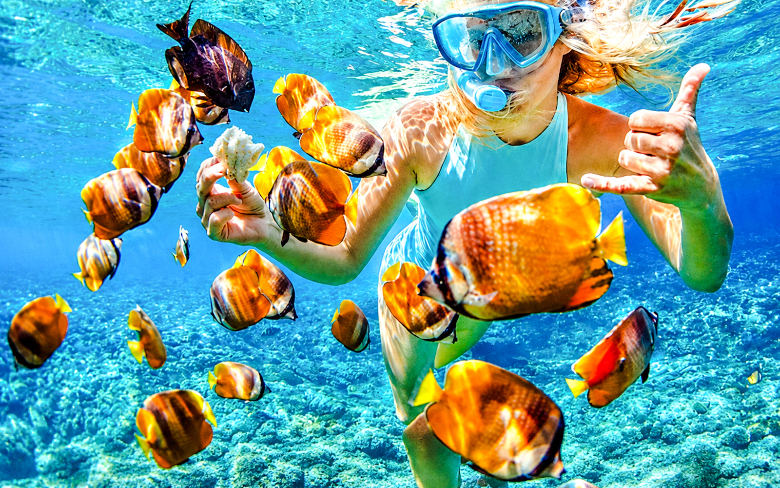 Bali Blue Lagoon Beach Snorkeling Tour at 2 Spots Image 3