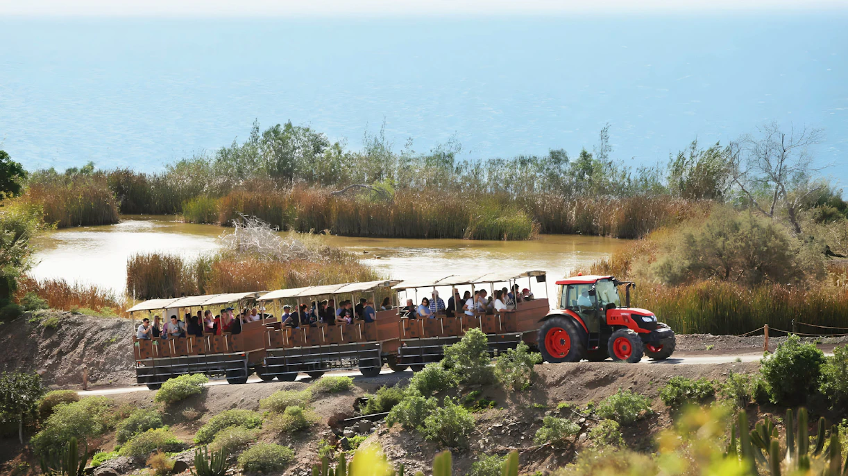 Tourists on a safari train ride through Oasis Wildlife park with a scenic water backdrop.