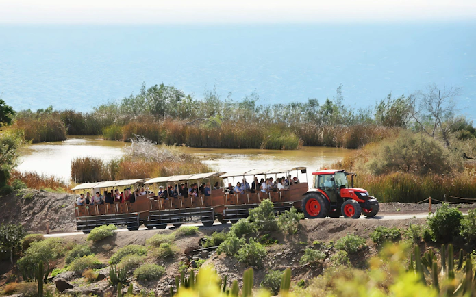 Tourists on a safari train ride through Oasis Wildlife park with a scenic water backdrop.