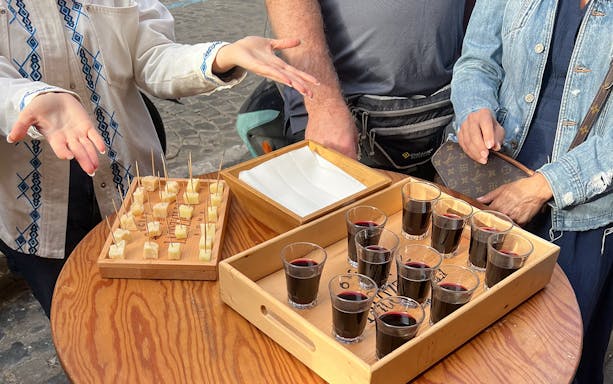 Wine tasting with cheese samples in Rome.
