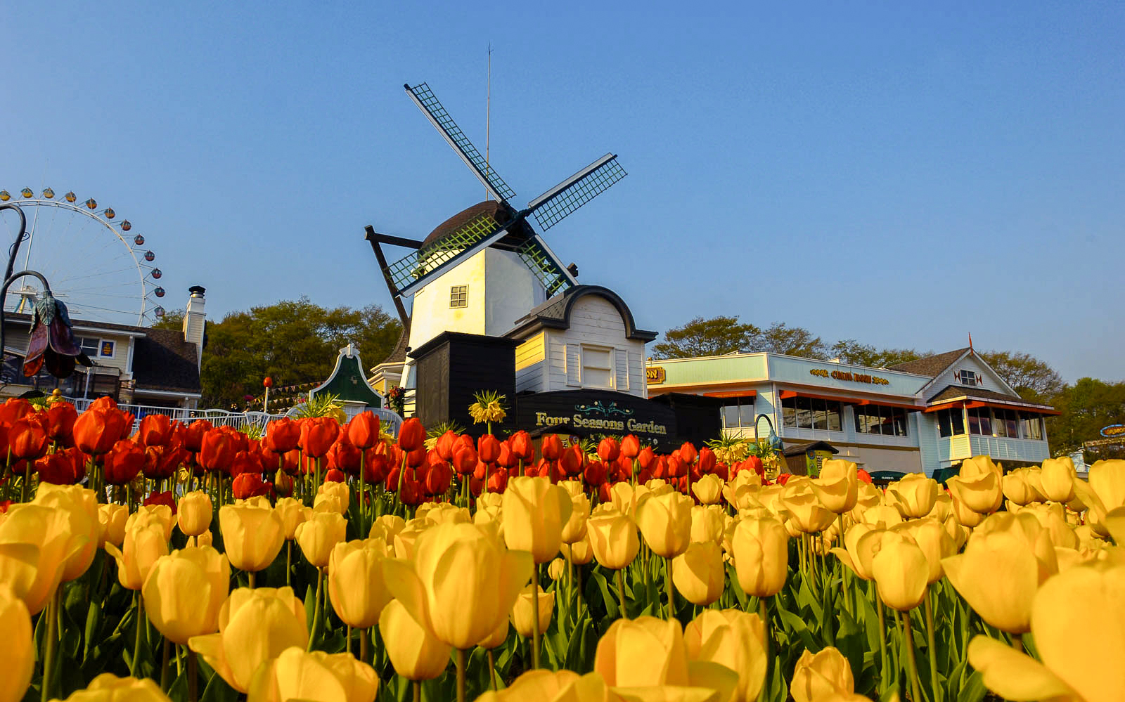 Everland Seoul tickets - European Adventure