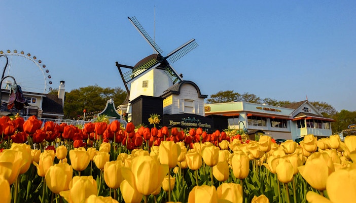 Everland Seoul tickets - European Adventure