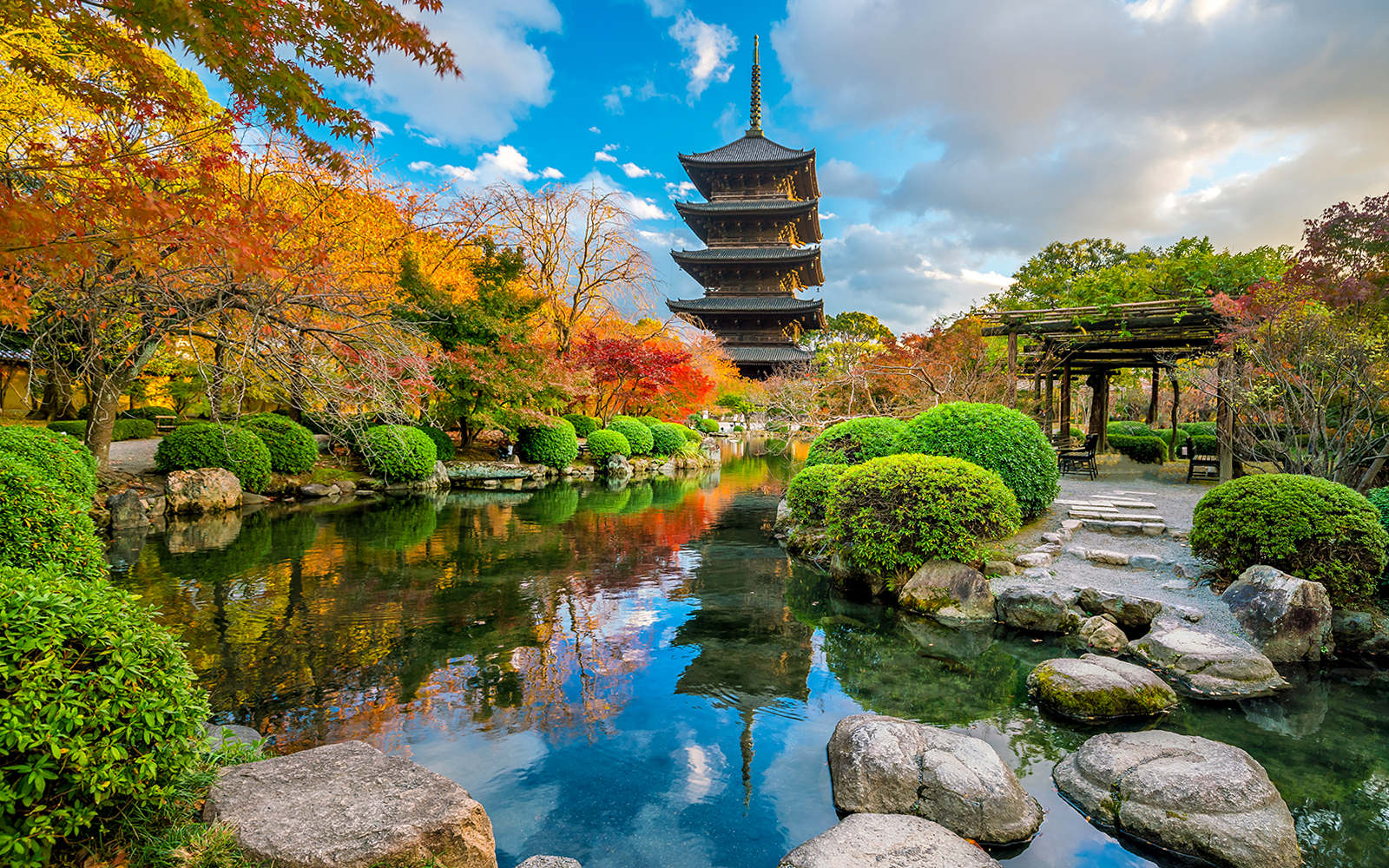 Toji temple and wood pagoda in autumn