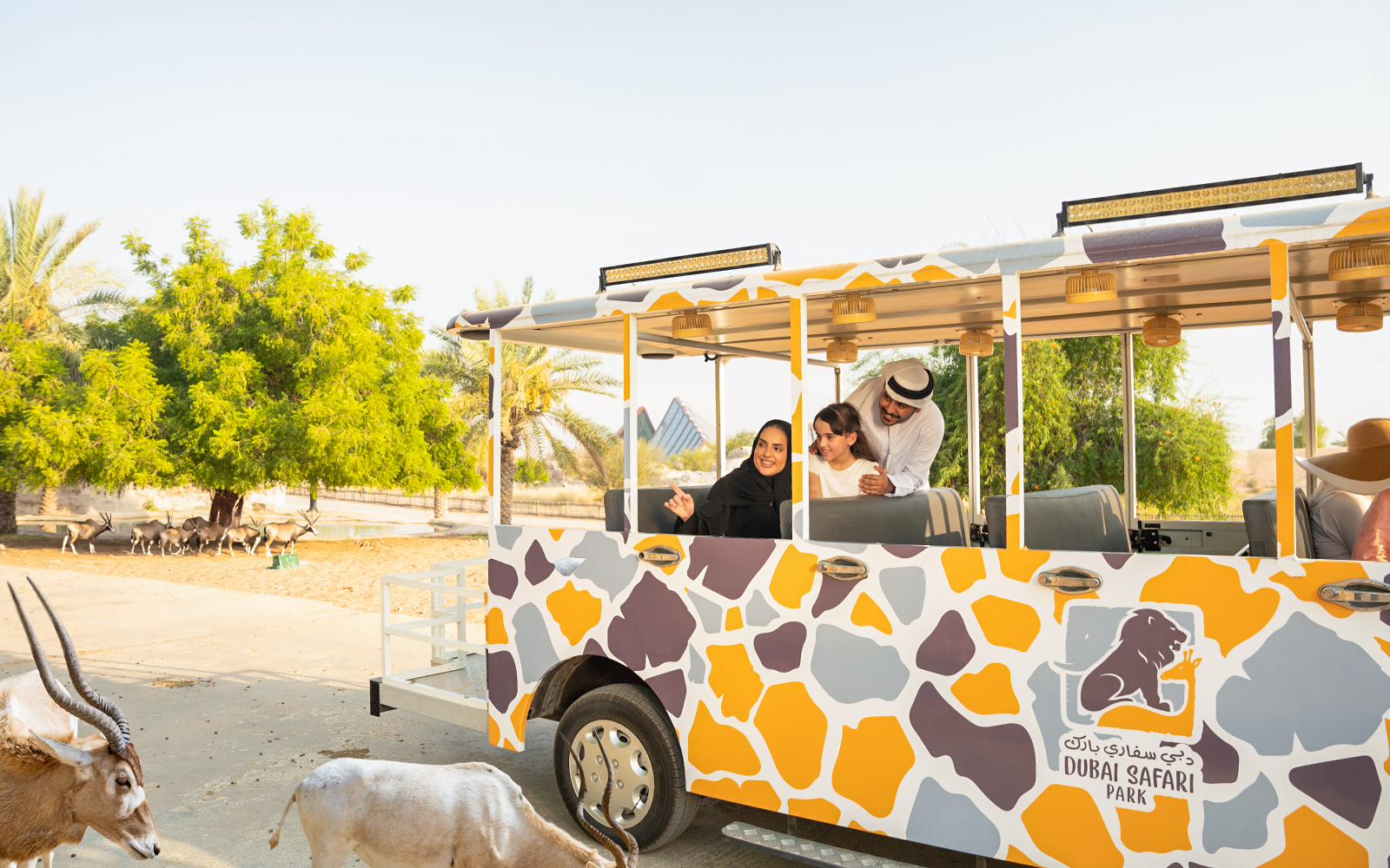 Safari tram tour at Dubai Safari Park with visitors observing wildlife.