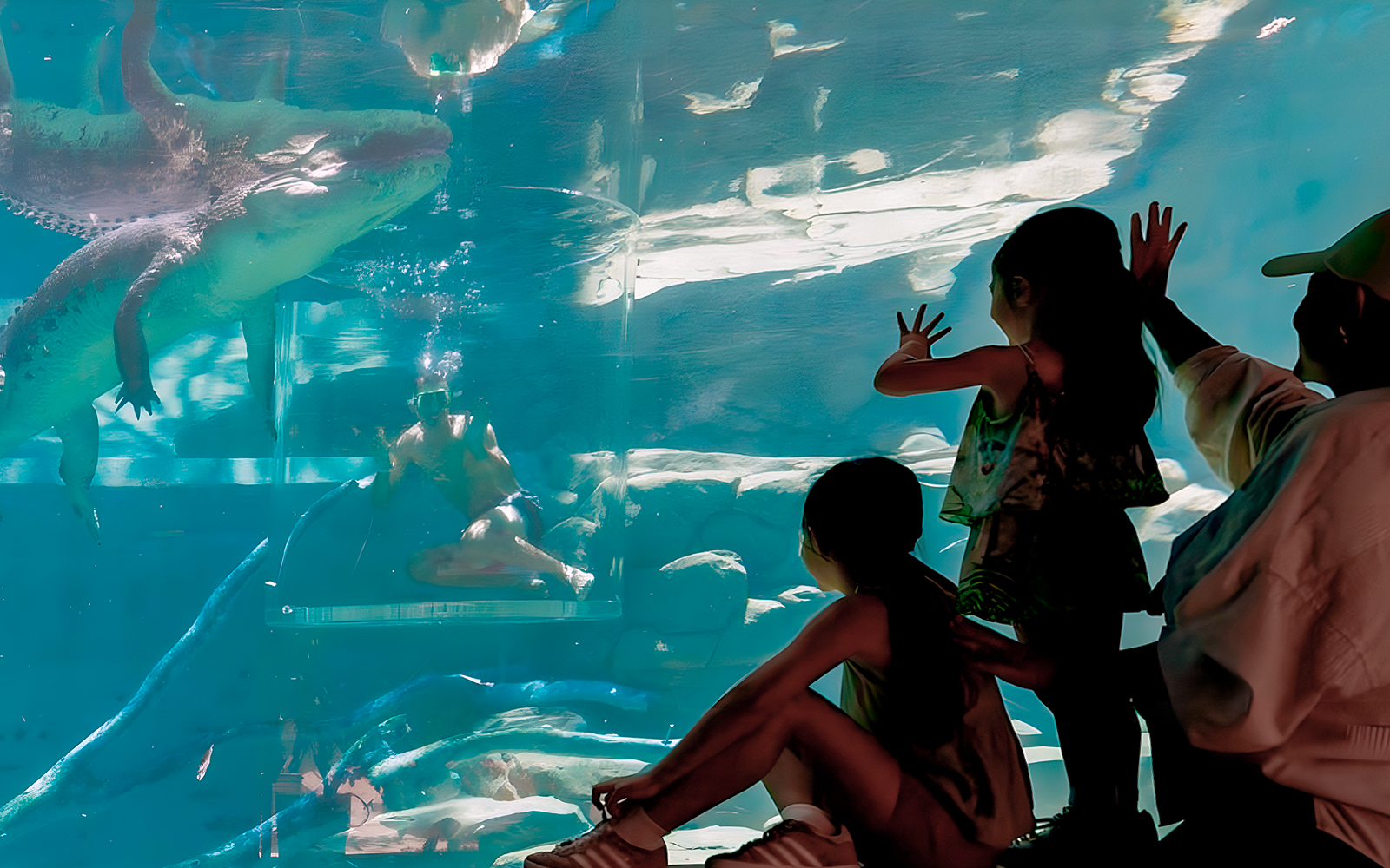 Visitors observing a diver in the Cage of Death with a crocodile at Crocosaurus Cove, Darwin.