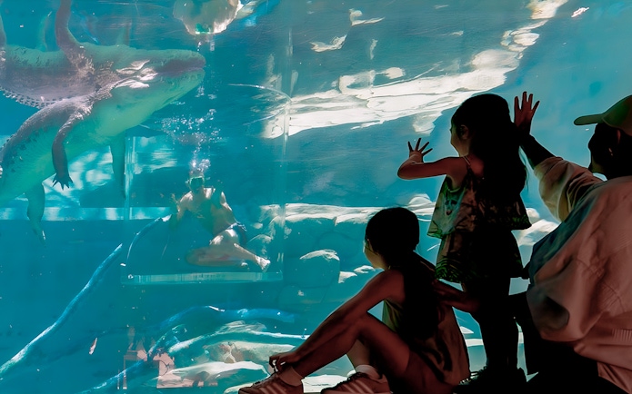 Visitors observing a diver in the Cage of Death with a crocodile at Crocosaurus Cove, Darwin.