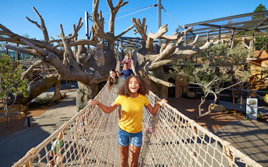 Kids enjoying the rope bridge at San Diego Zoo.