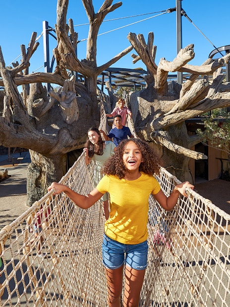 Kids enjoying the rope bridge at San Diego Zoo.