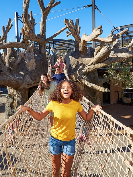 Kids enjoying the rope bridge at San Diego Zoo.