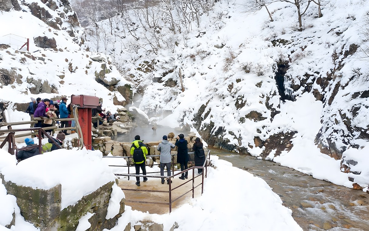 Visitors observing snow monkeys in hot springs, Jigokudani Monkey Park, Nagano, Japan.