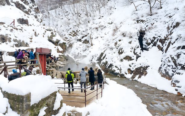 Visitors observing snow monkeys in hot springs, Jigokudani Monkey Park, Nagano, Japan.