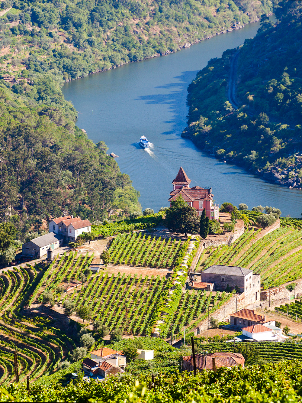 Vineyards and river in Douro Valley, Portugal, with a boat on the water.