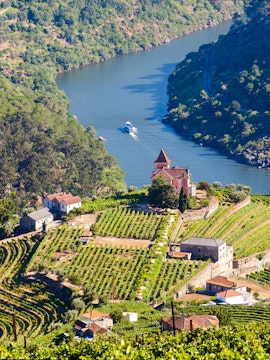 Vineyards and river in Douro Valley, Portugal, with a boat on the water.