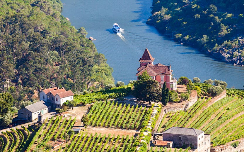 Vineyards and river in Douro Valley, Portugal, with a boat on the water.