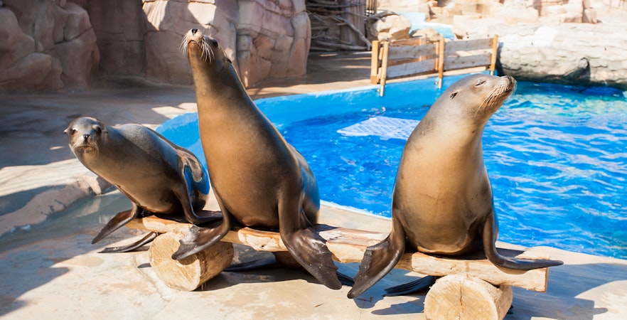 Bilete Marineland Antibes