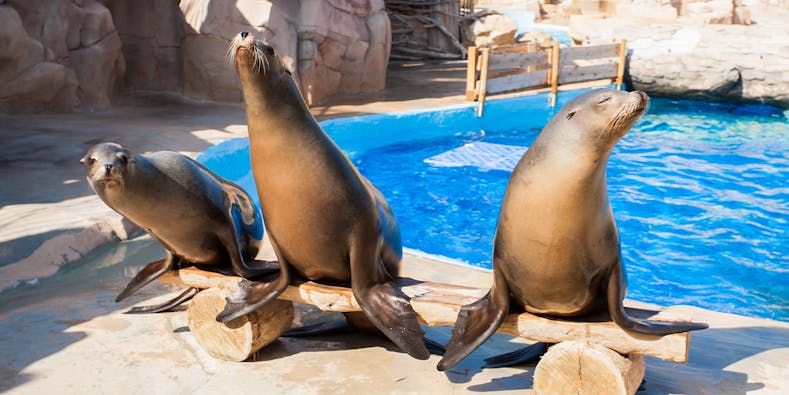 Marineland Antibes Tickets