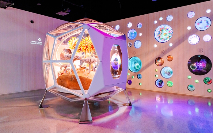 Futuristic exhibit with colorful flora at Museum of the Future, Dubai.