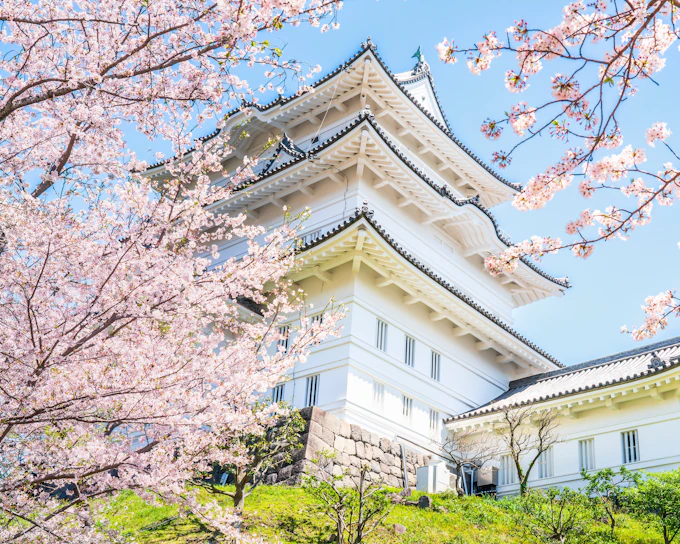 Odawara Castle Entry Tickets