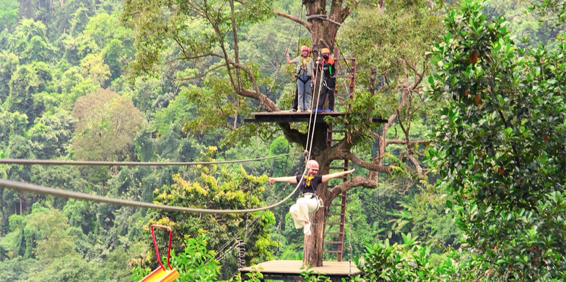 Pongyang Jungle Coaster & Zipline