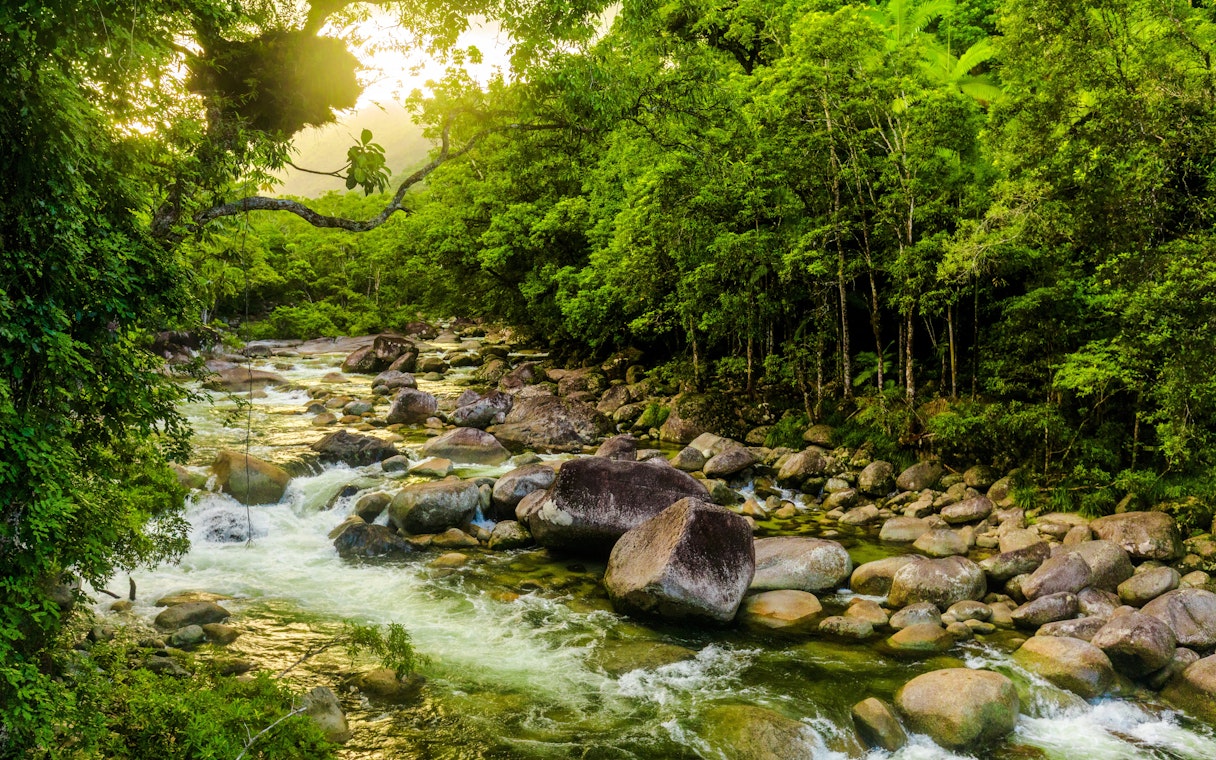 Mossman Gorge river flowing through lush rainforest with large rocks, Queensland, Australia.