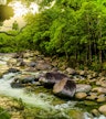 Mossman Gorge