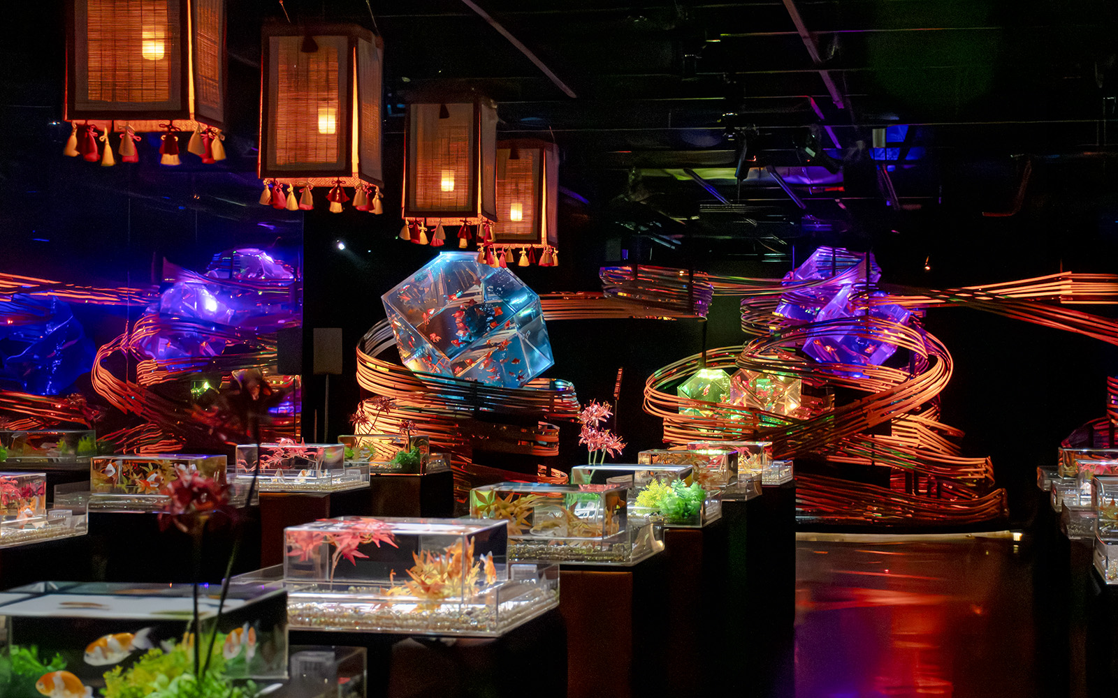 Ginza Art Aquarium with illuminated fish tanks and vibrant light displays.