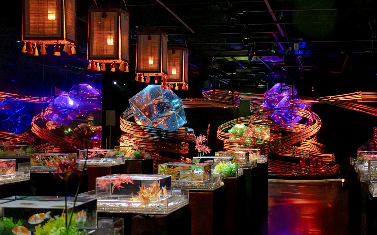 Ginza Art Aquarium with illuminated fish tanks and vibrant light displays.