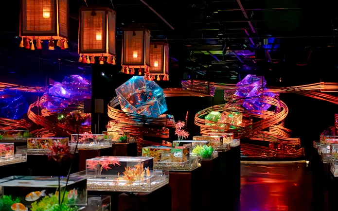 Ginza Art Aquarium with illuminated fish tanks and vibrant light displays.