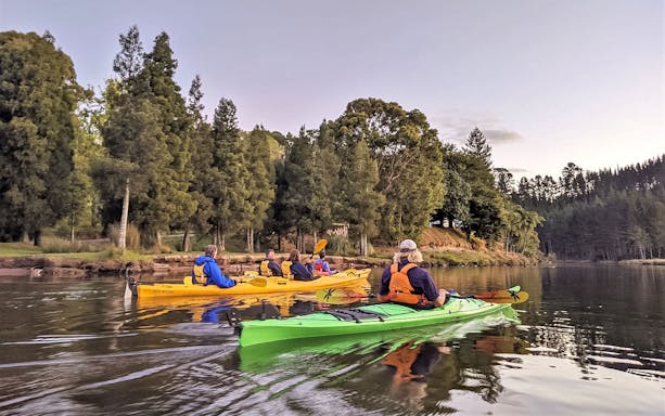 Kayakers paddling on a serene river surrounded by lush trees in Tauranga.