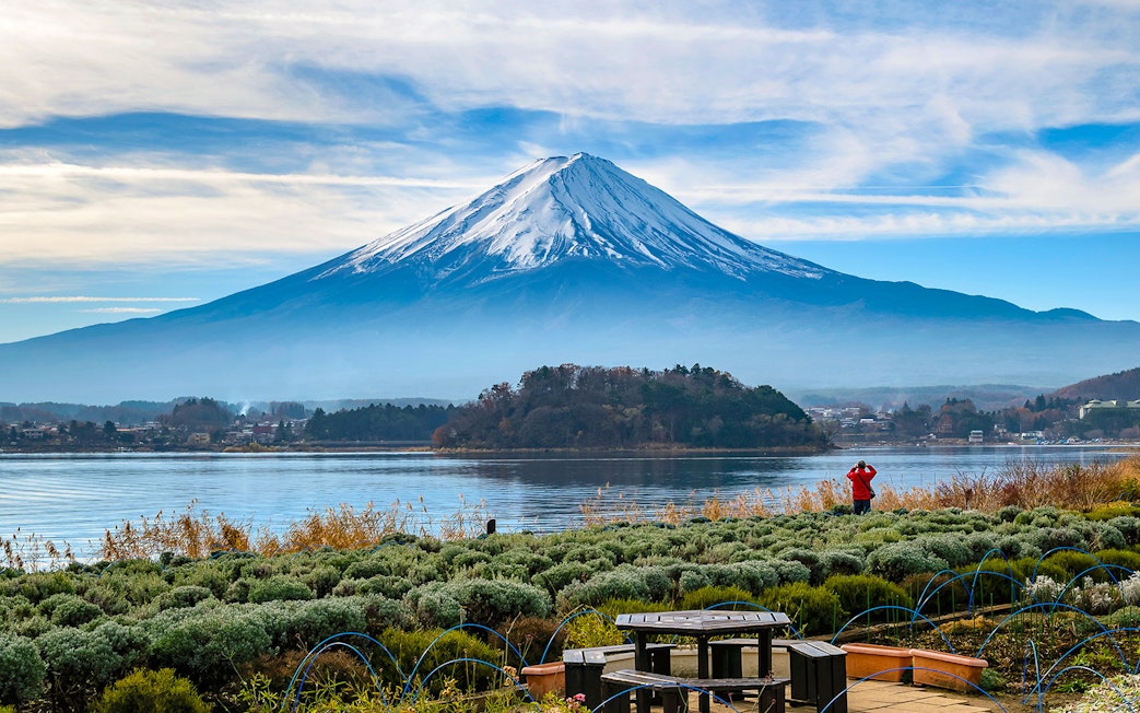 Oishi Park with Kawaguchi Lake and Mount Fuji in the background.