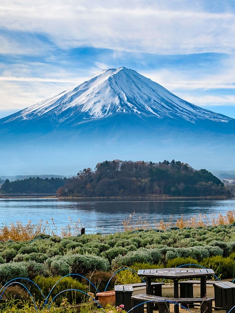 Oishi Park with Kawaguchi Lake and Mount Fuji in the background.