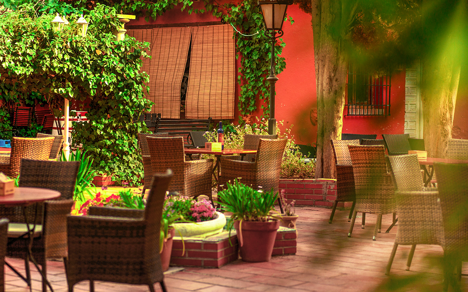 Outdoor seating area at Tablao flamenco Jardines de Zoraya with wicker chairs and lush greenery.
