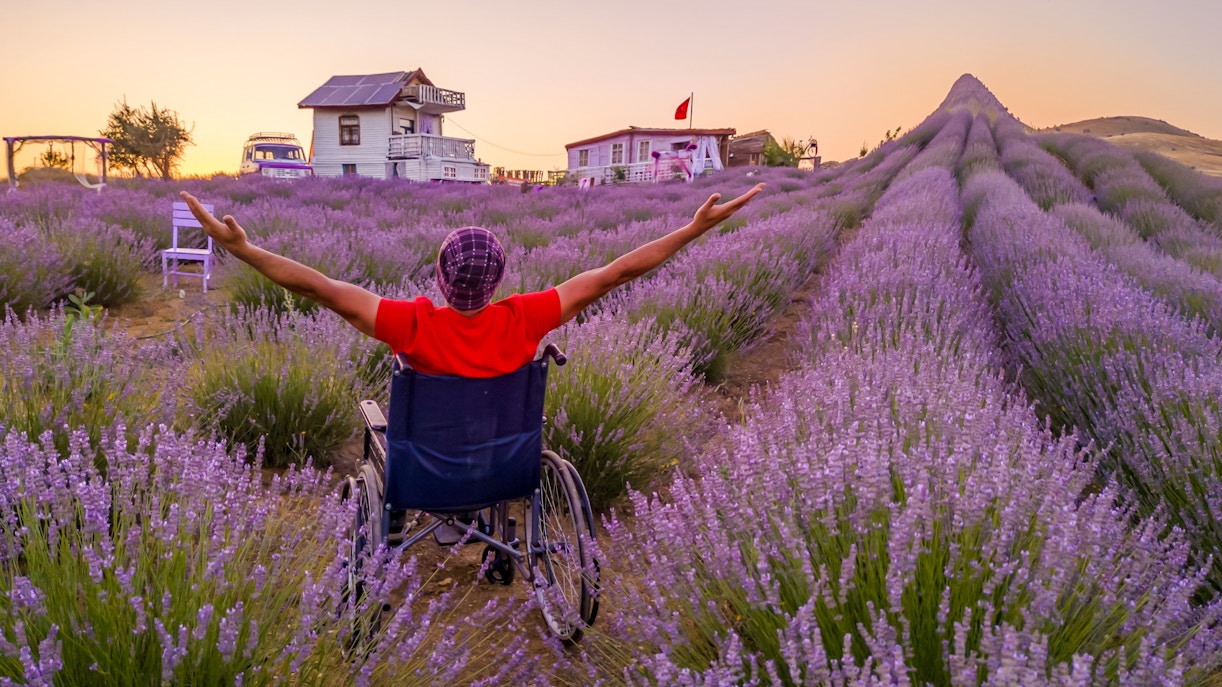 Person in a wheelchair enjoying sunset in lavender fields with distant houses.