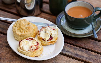 Traditional cream tea with scones