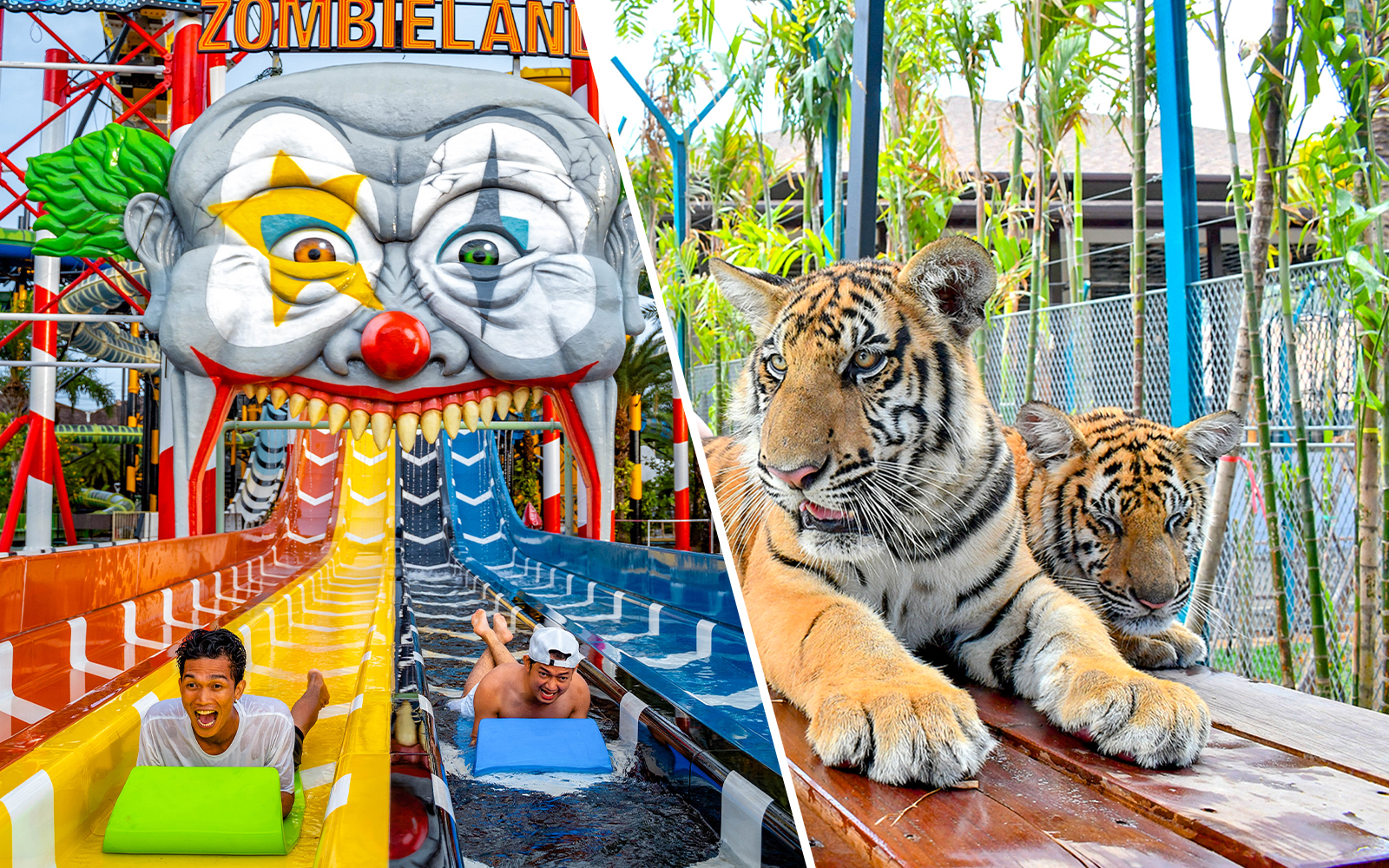 Riders enjoying the water slide at Zombieland, Columbia Pictures Aquaverse Pattaya.