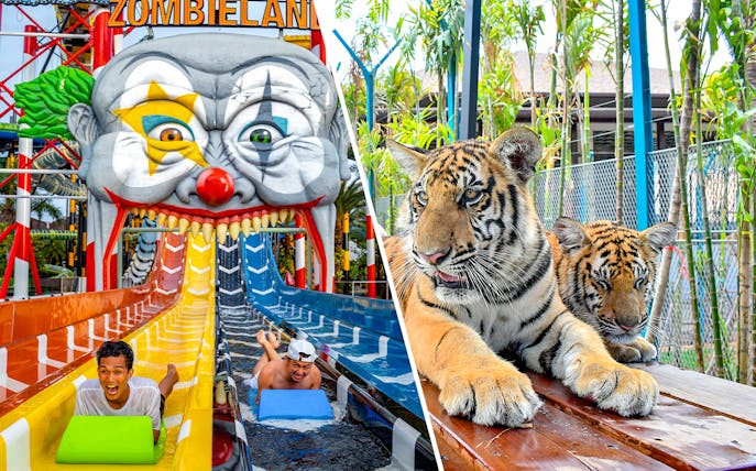 Riders enjoying the water slide at Zombieland, Columbia Pictures Aquaverse Pattaya.